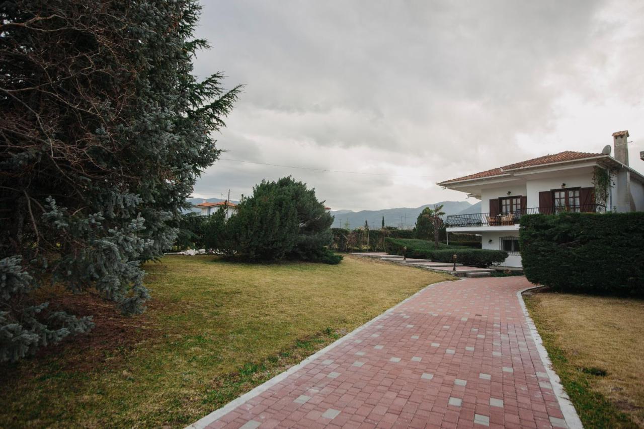 Vila Mythic House Leptokaria Exteriér fotografie
